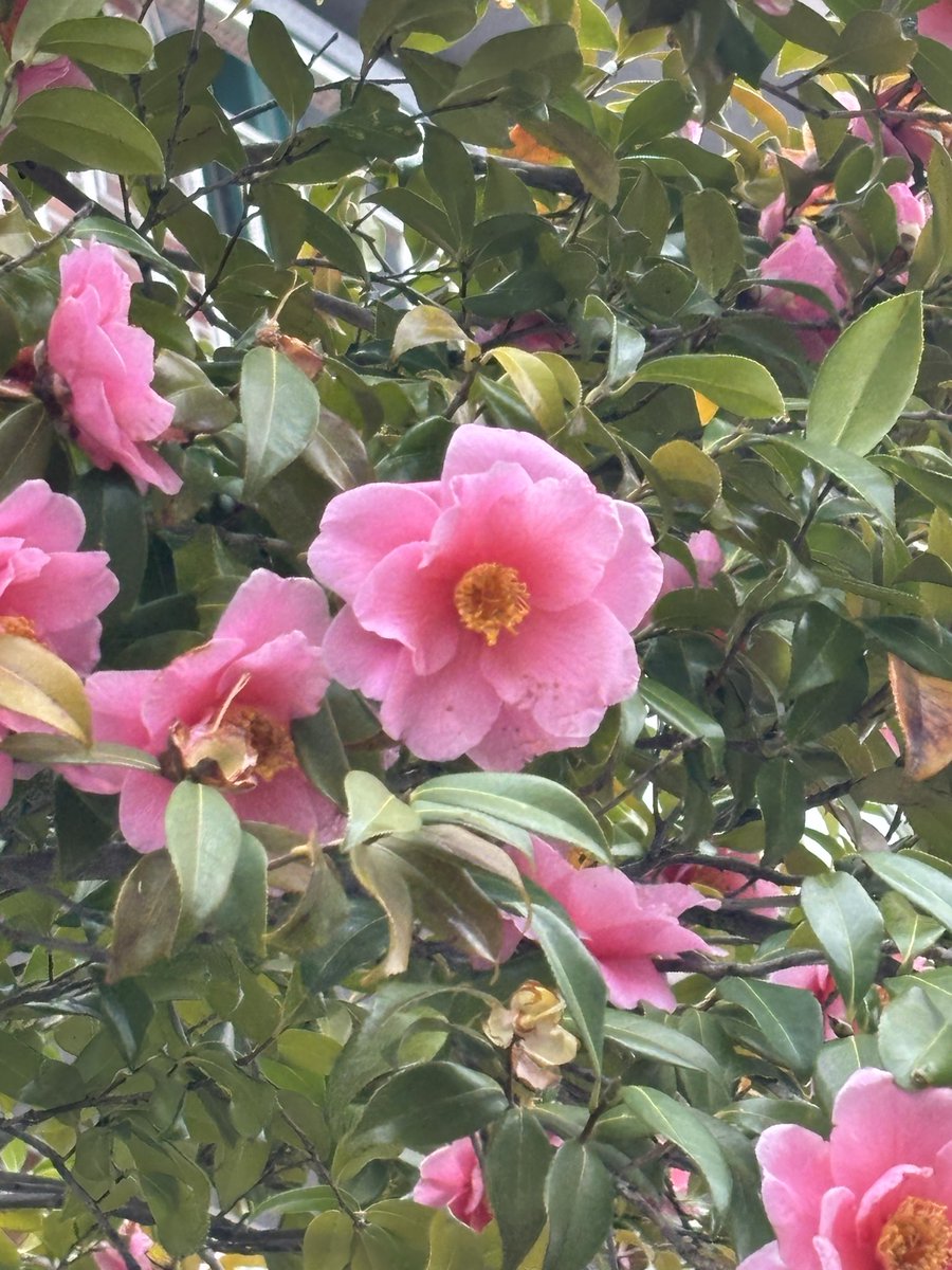 뜨개하는 개발자 부계 tweet media