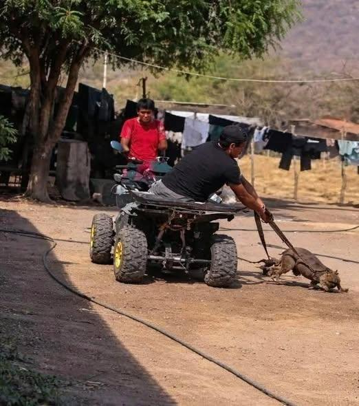 salem saberhagen tweet media