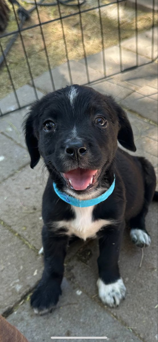 Eric Hug tweet media