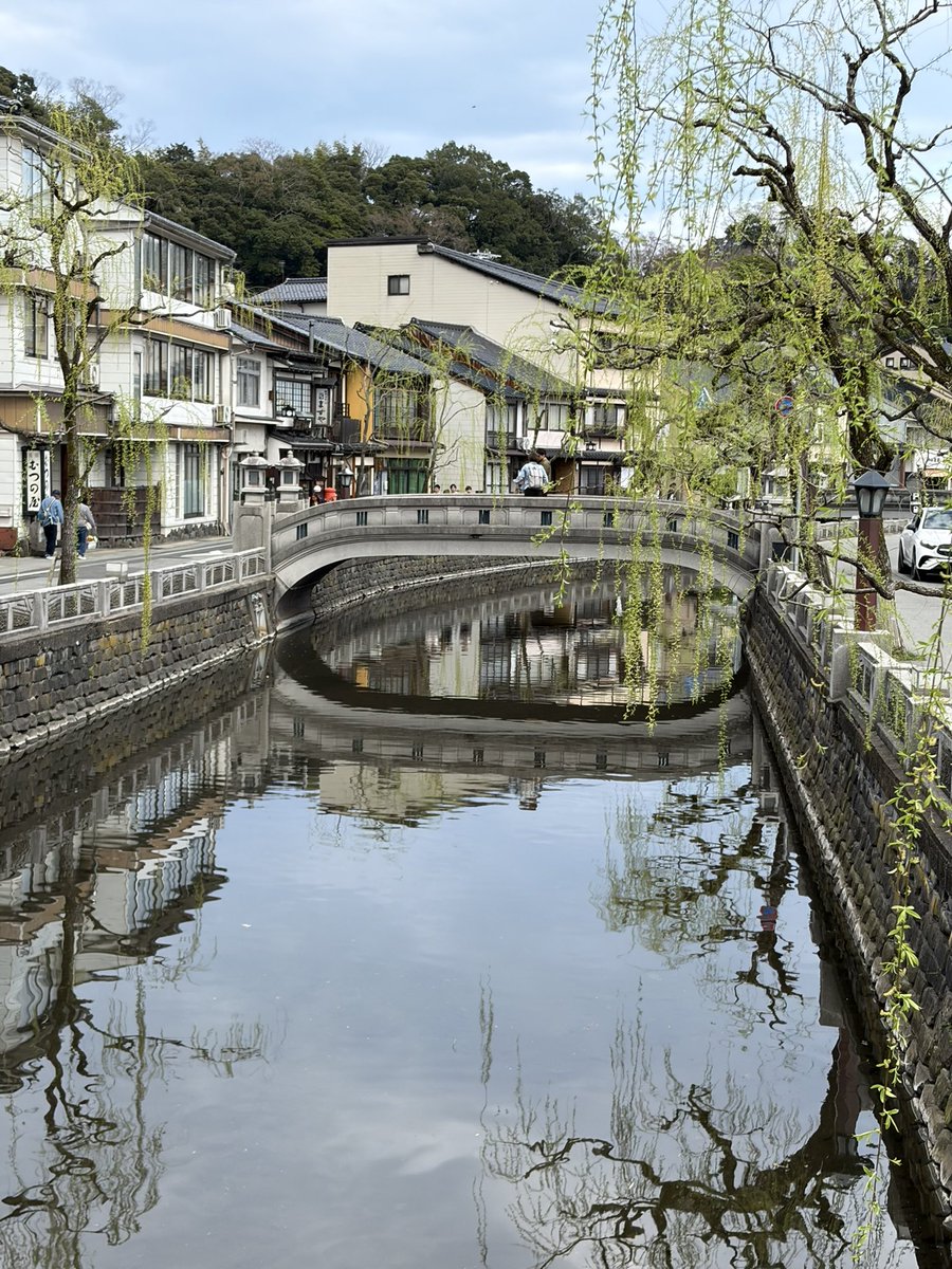 まみこ♨️温泉移住 tweet media