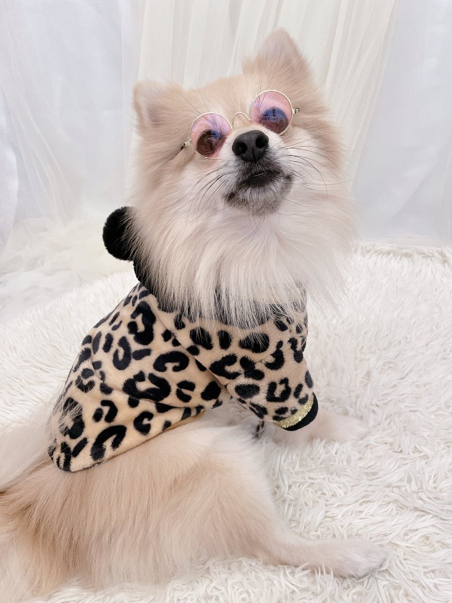 ゆずぽんず tweet media