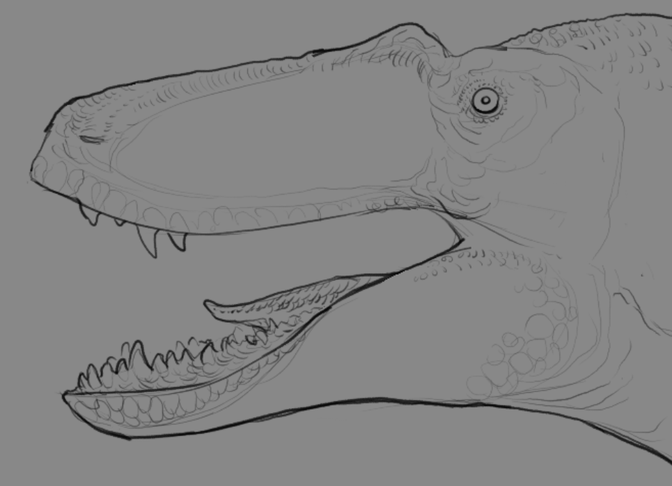 MantisMan20's tweet photo. More dinosaur sketches https://t.co/u33WvGDIZu