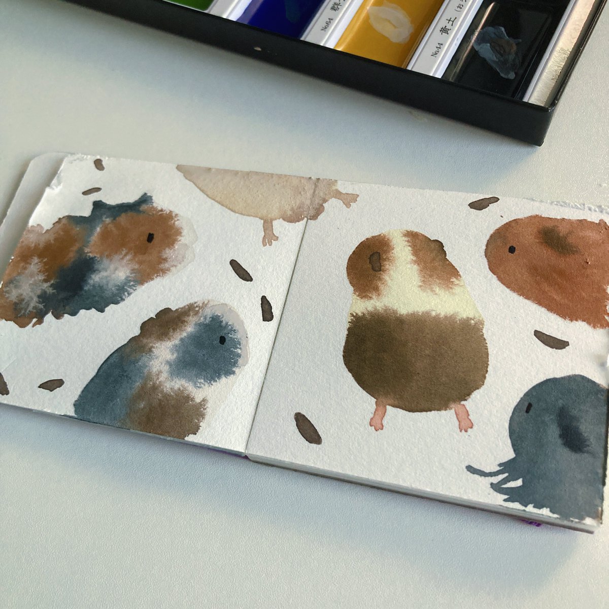 NORI STAR CREAM tweet media