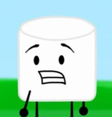 TerraTime tweet media