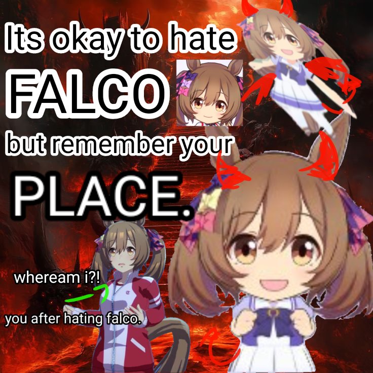 MICHI 🐴 FLIGHT tweet media