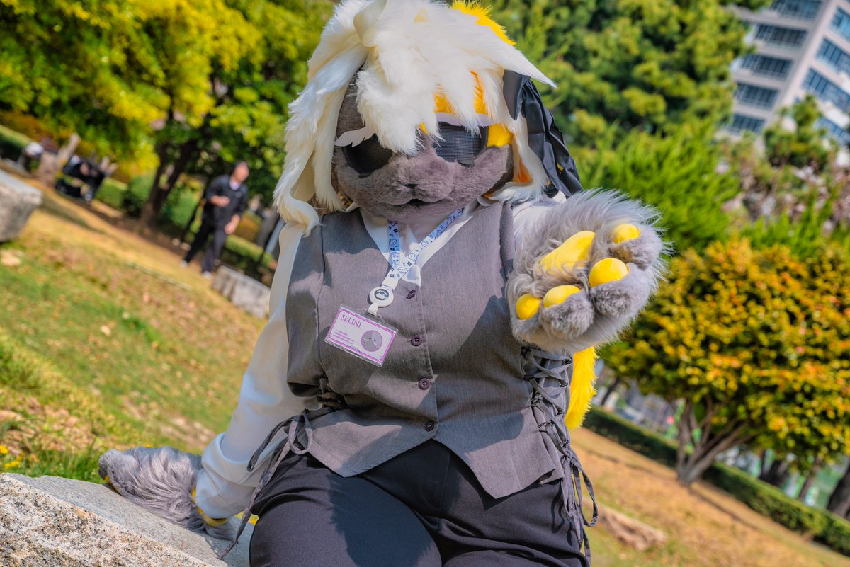 셀리니 🔜 3부코, 퍼클 tweet media