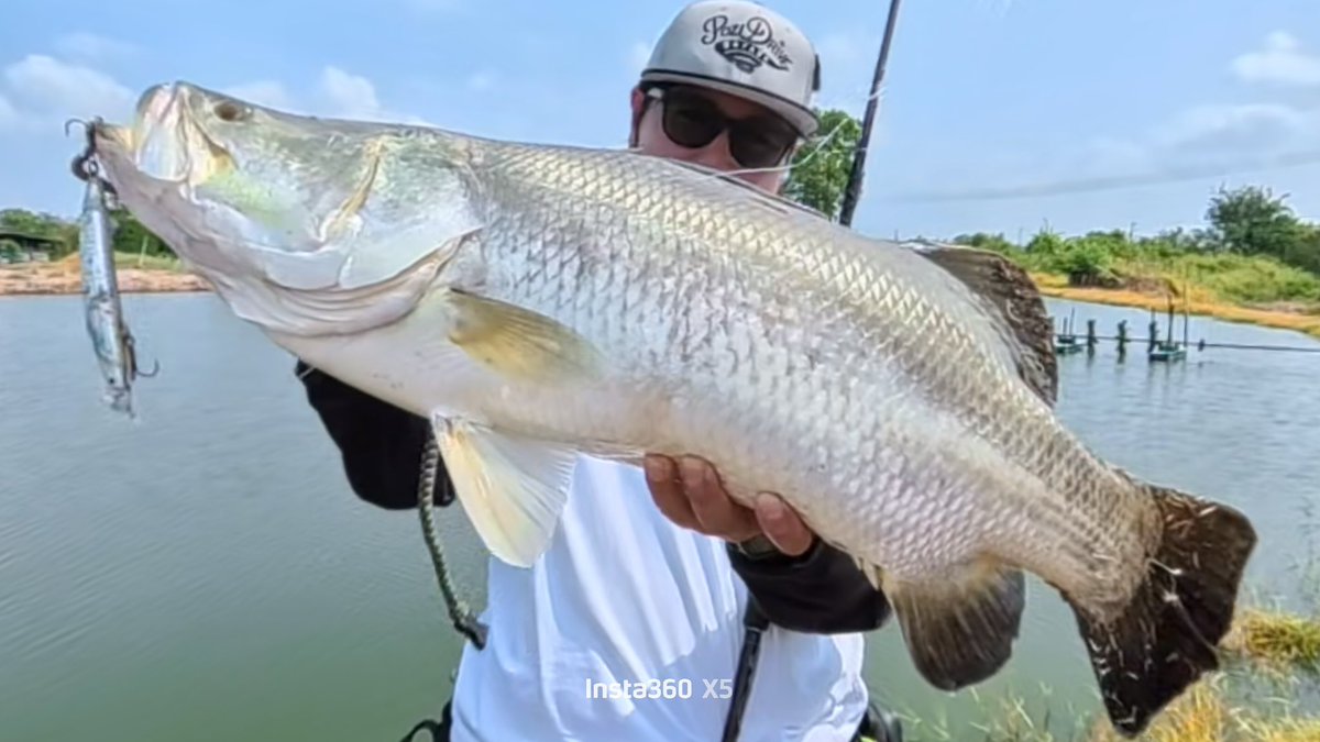 o_seabass tweet media