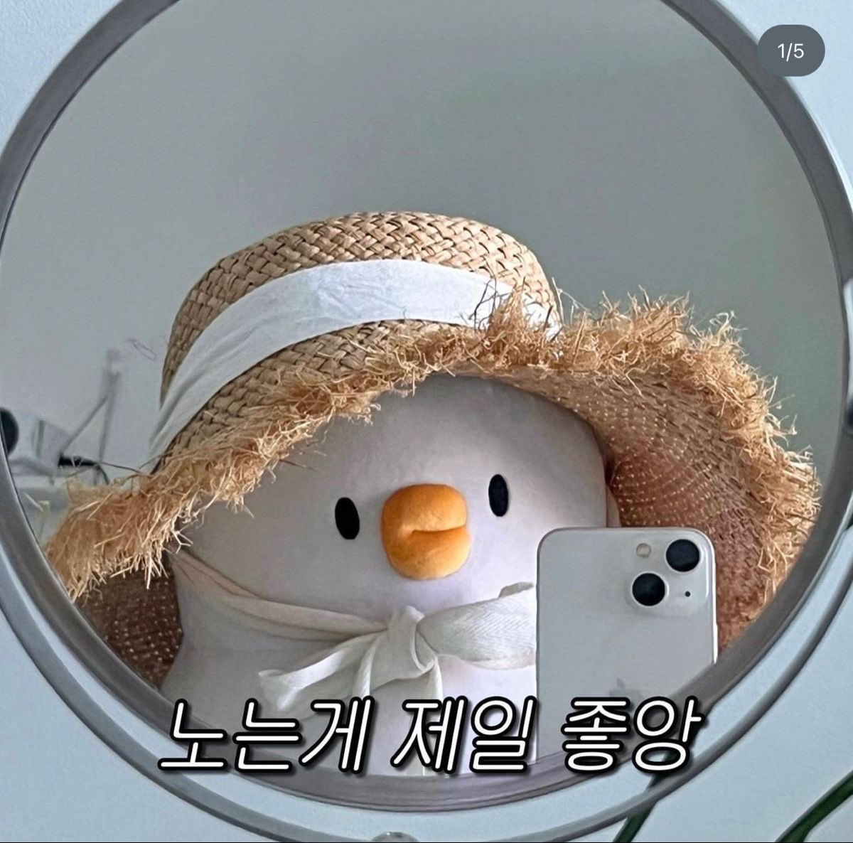 뜨개하는 개발자 부계 tweet media