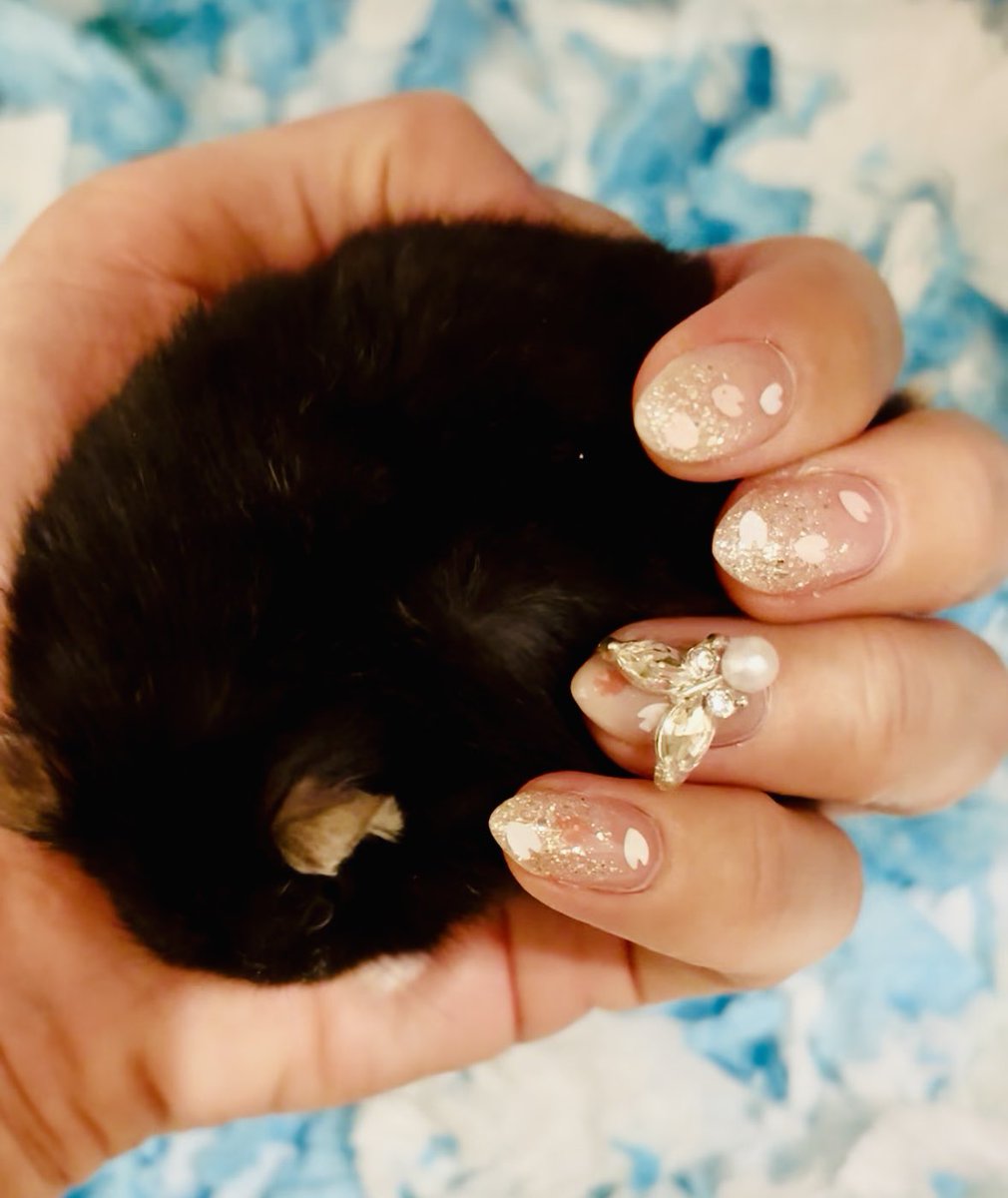 はむちゃん's account_2nd tweet media