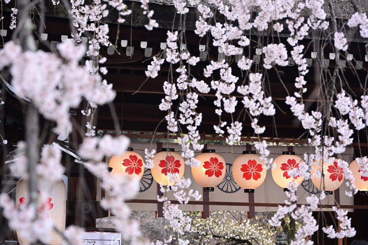 写真日和 tweet media