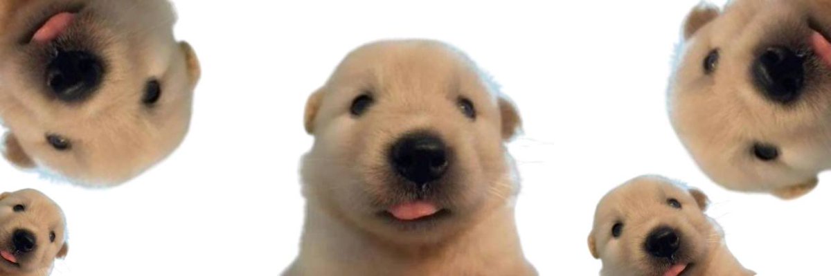 ihodlmoonbag's tweet photo. hi im $mochi.

dKbwbLFXuJUUSE1r1BSFdsijfmSDsDKV2XFzM94pump https://t.co/uRFyzII6tk