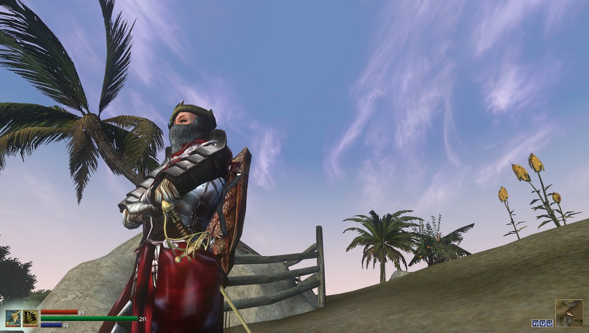 sukkublitz2's tweet photo. #ProjectTamriel #OpenMW https://t.co/4qe7dwiNuJ