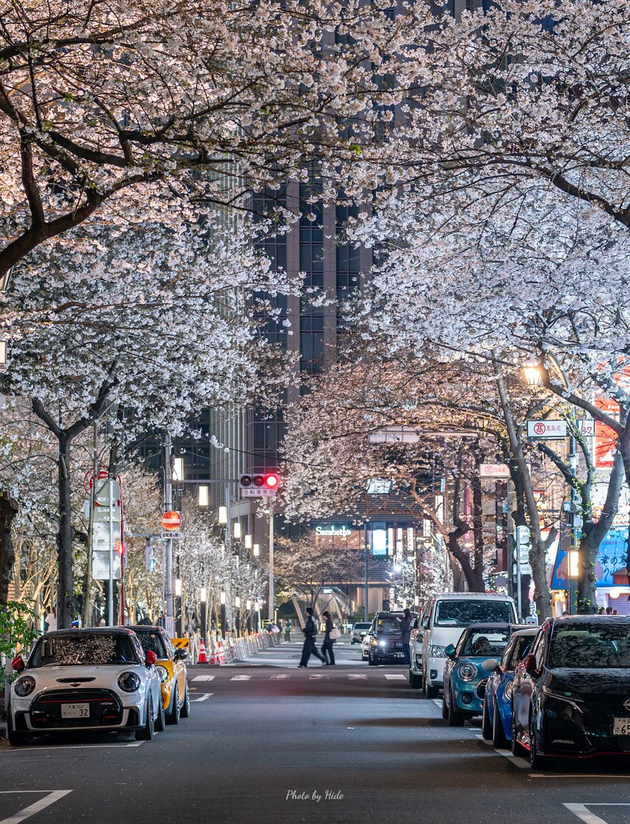 HidePhoto_2021's tweet photo. 八重洲さくら通り🌸 https://t.co/1t1yfKFIV9