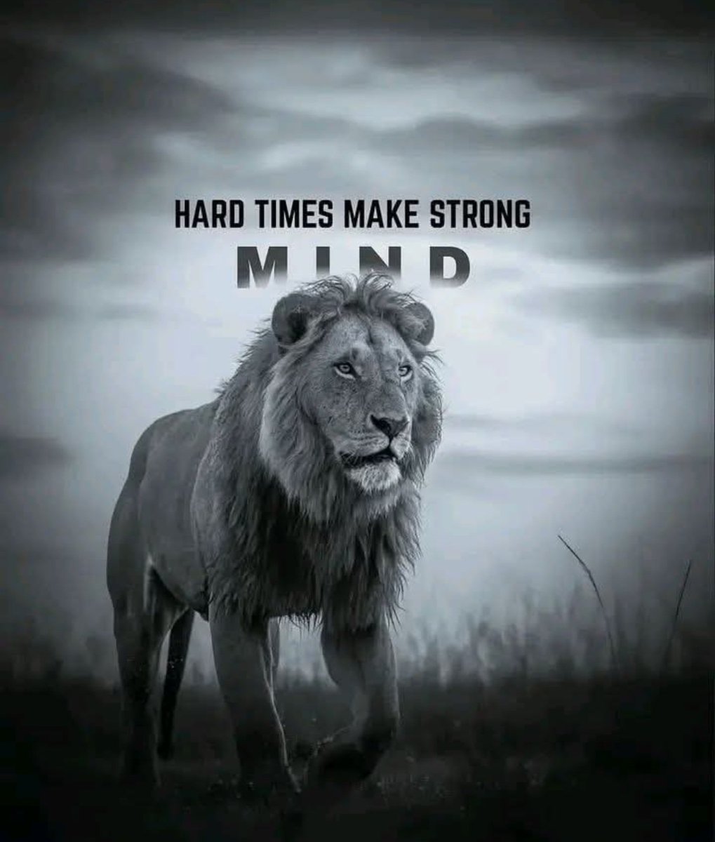 Bididia💫 tweet media