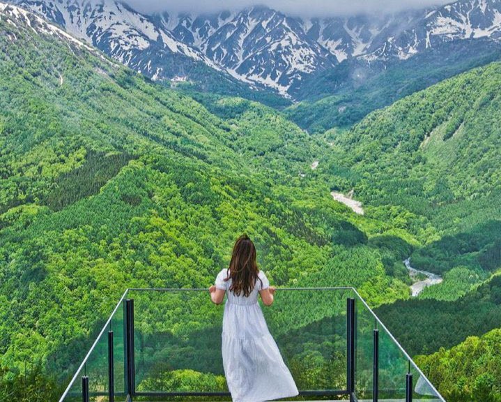 🇯🇵星空音夢🇯🇵 tweet media