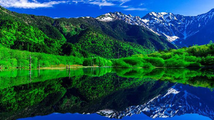 🇯🇵星空音夢🇯🇵 tweet media