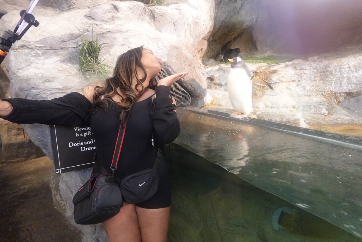 momma lex, m.b.a, m.a. tweet media