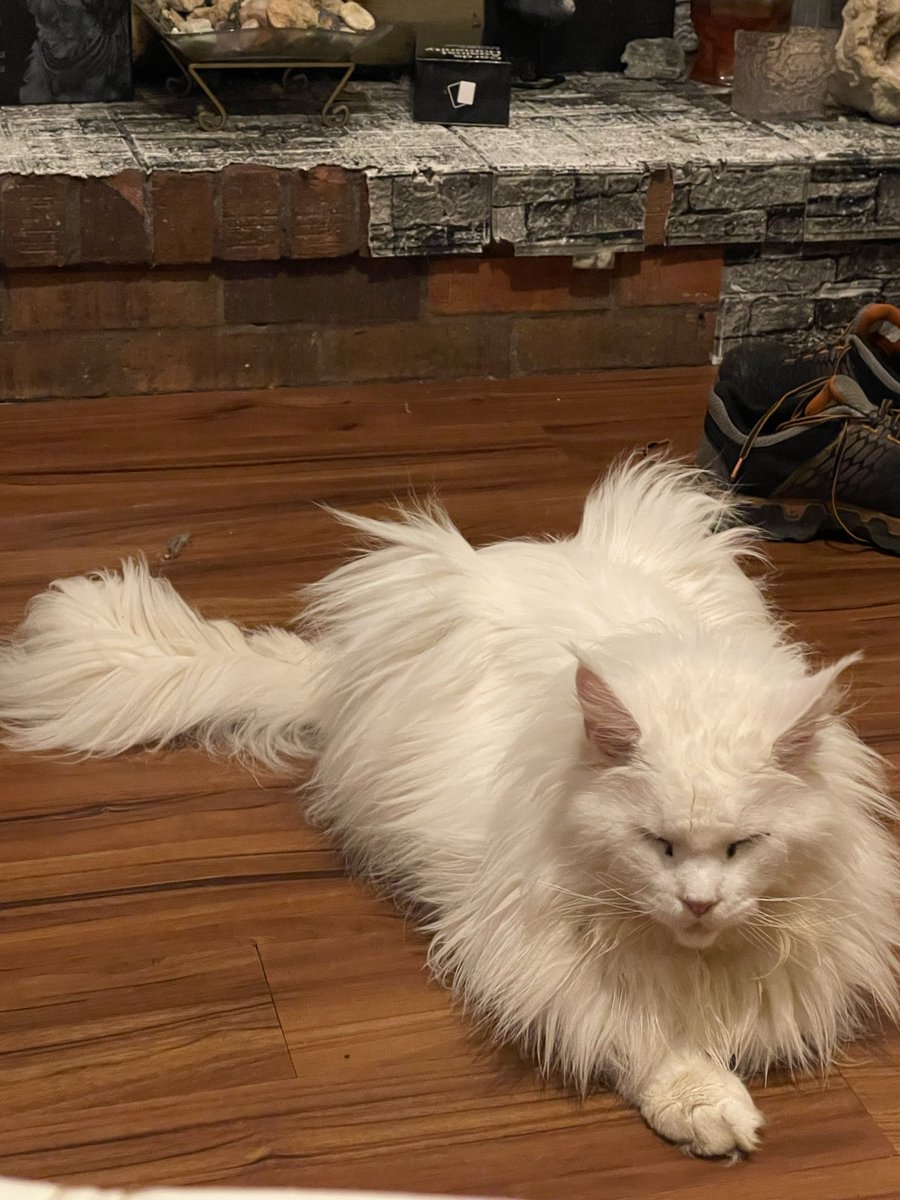 Terri Carmichael tweet media