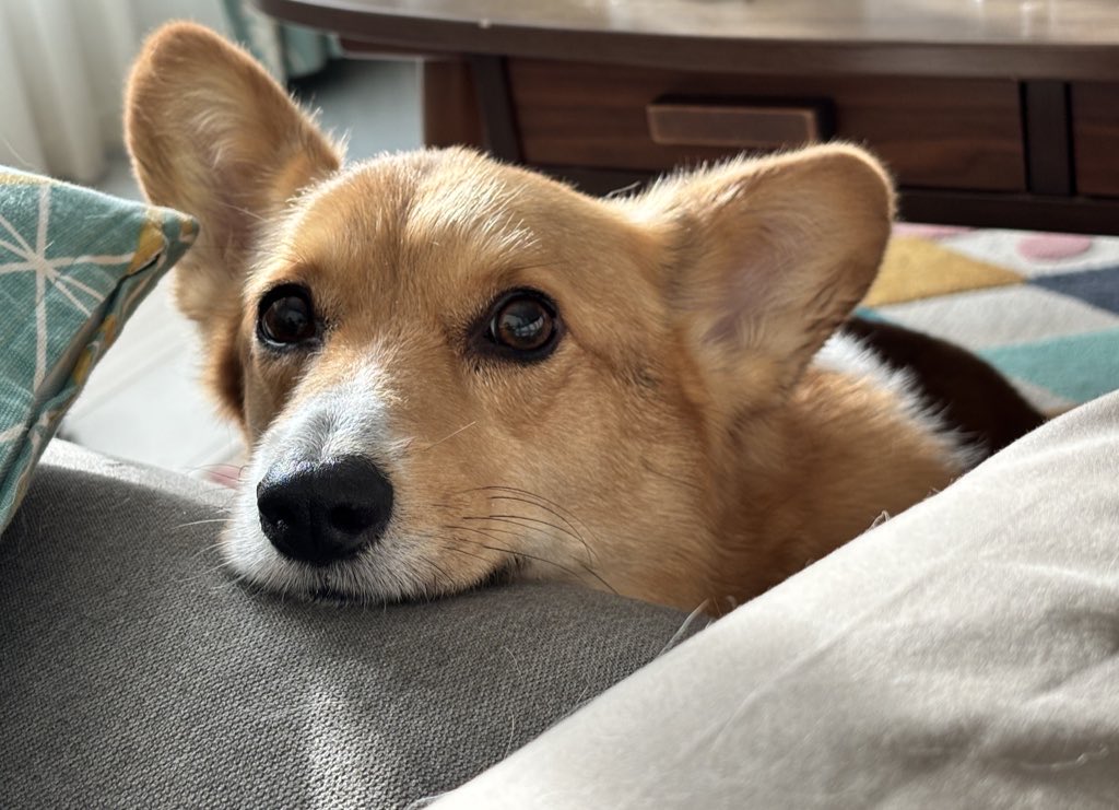 いのすけ🔅 tweet media