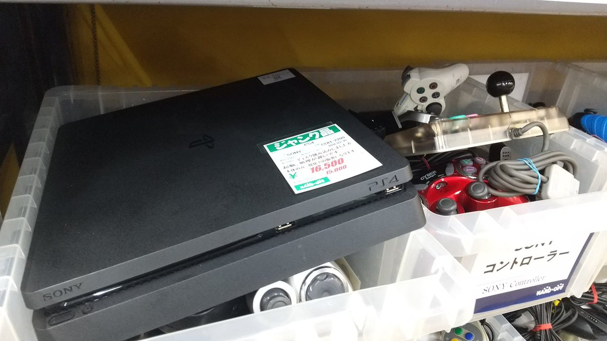 ぽる🏝️゚ฅ•ω•ฅ tweet media