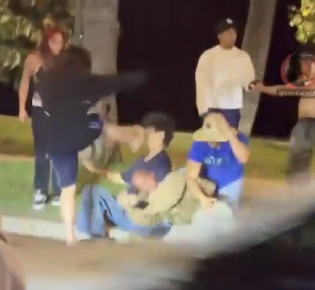 Anchored tweet media