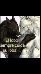 𓆏 | Kitta tweet media