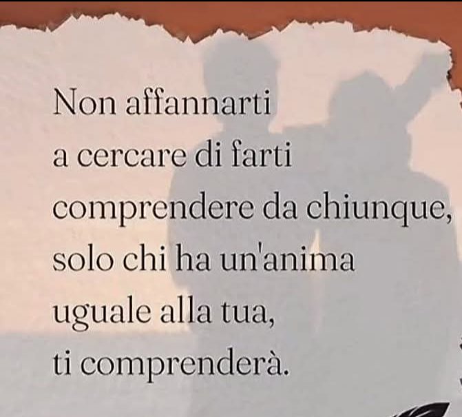 🌍 Maurizio🌍 tweet media