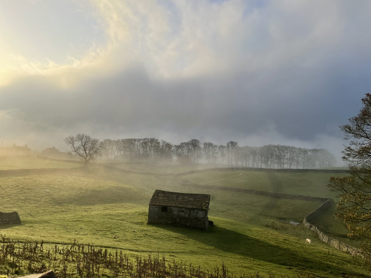 yorkshire_dales's tweet image. The Yorkshire Dales National Park is home to over 6,000 traditional farm buildings. Of these, around 4,500 are field barns.

#YorkshireDales #TuesdayThoughts