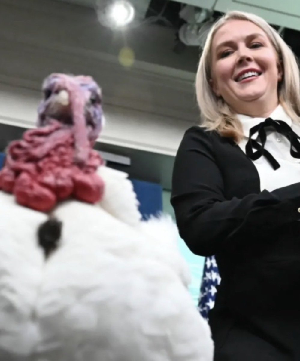 <a href="/NatalieKorach/">Natalie Korach</a> <a href="/brianbeutler/">Brian Beutler</a> <a href="/oliverdarcy/">Oliver Darcy</a> Was it this picture?