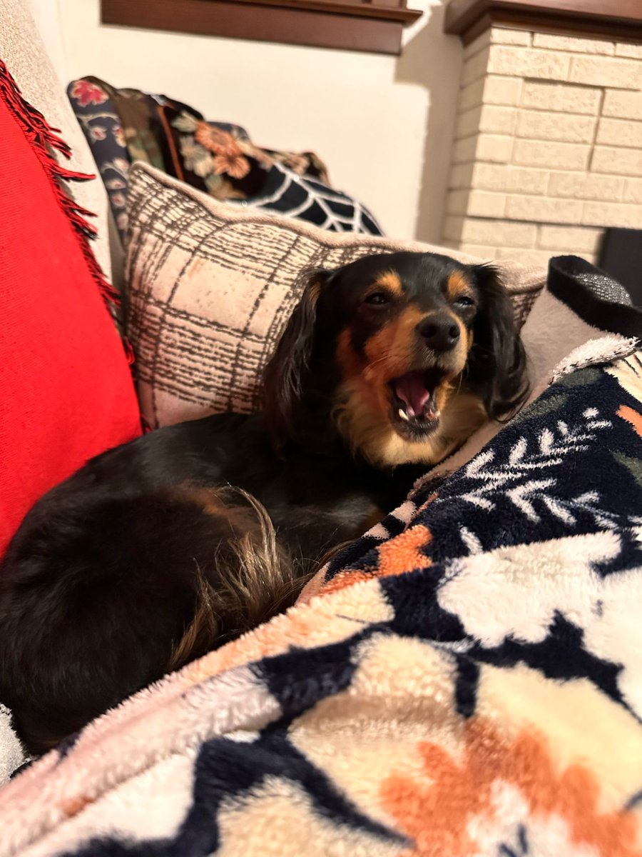 Girls Play | GP_TV tweet media