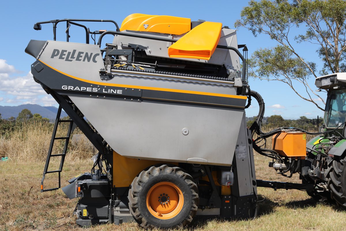 Wine Classifieds tweet media