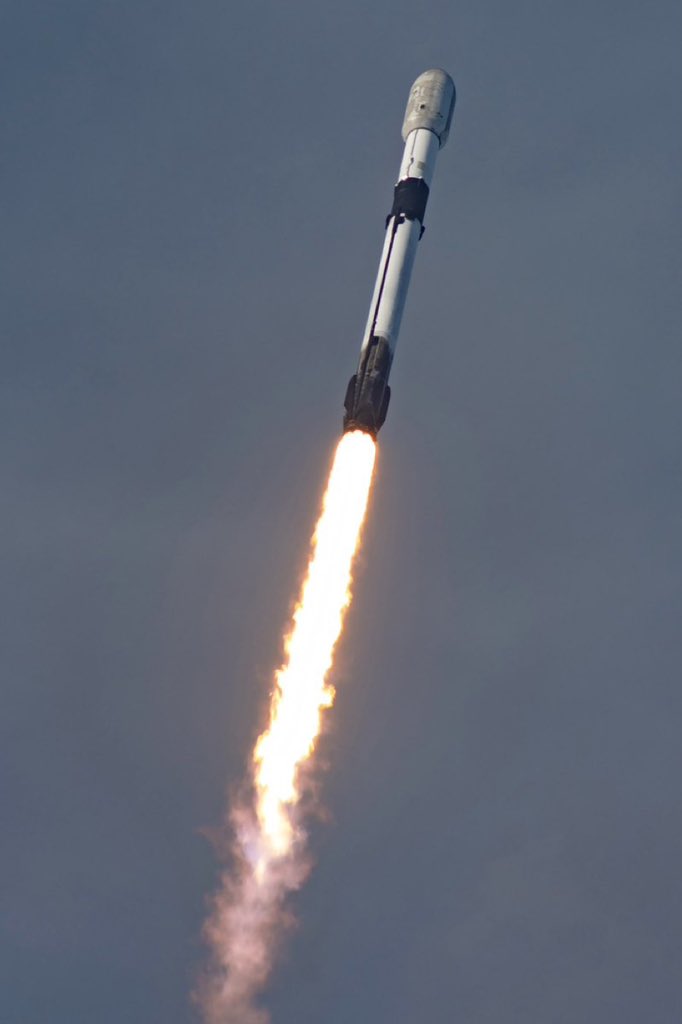 Evan Luthra tweet media