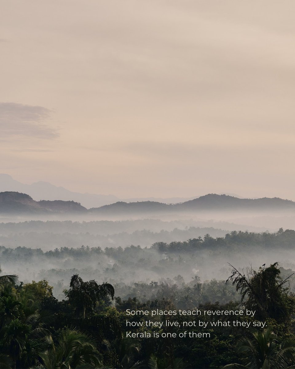 The Travel Portfolio tweet media