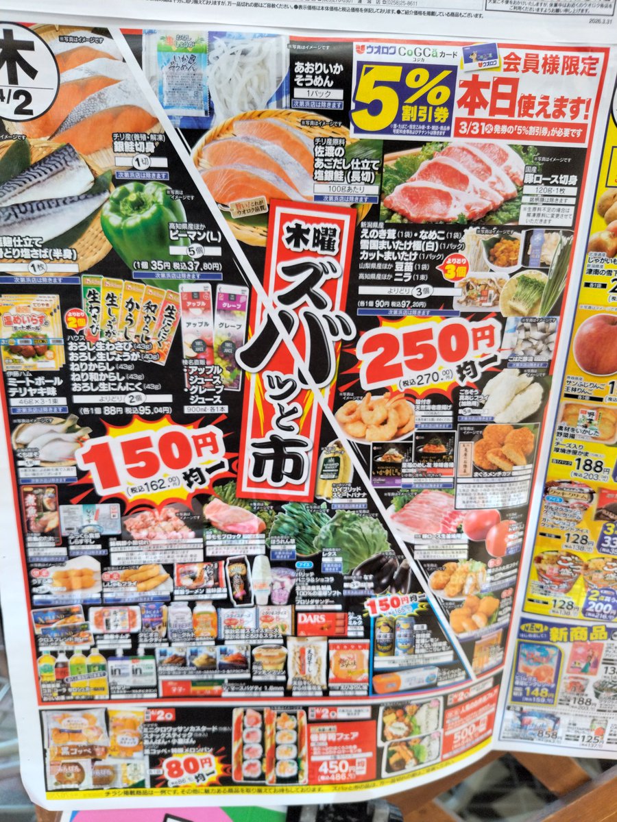 白いパンダ tweet media