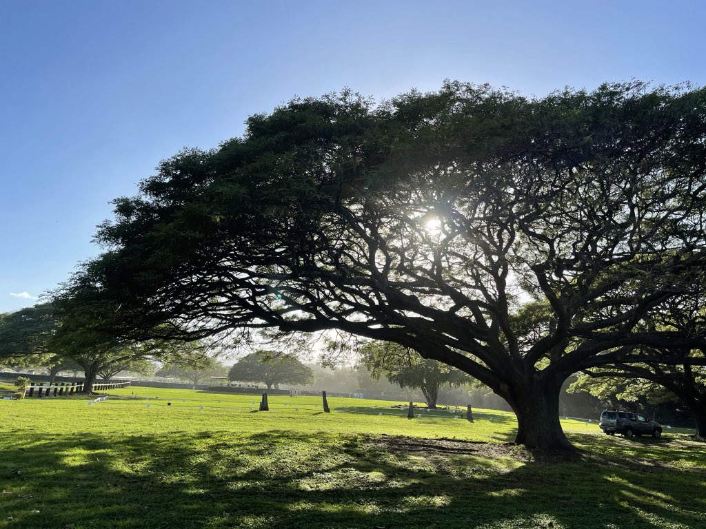 ⓧ Jack Levin ⓧ X1 tweet media