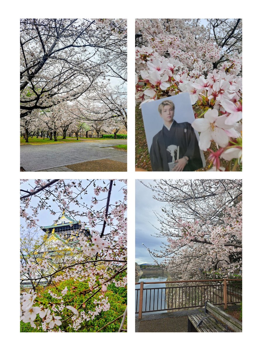 なないろ🧢🌐 tweet media