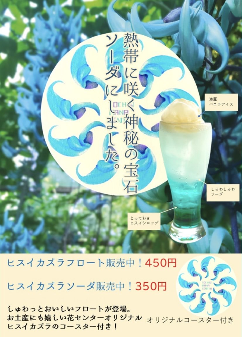 とちぎ花センター【公式】 tweet media