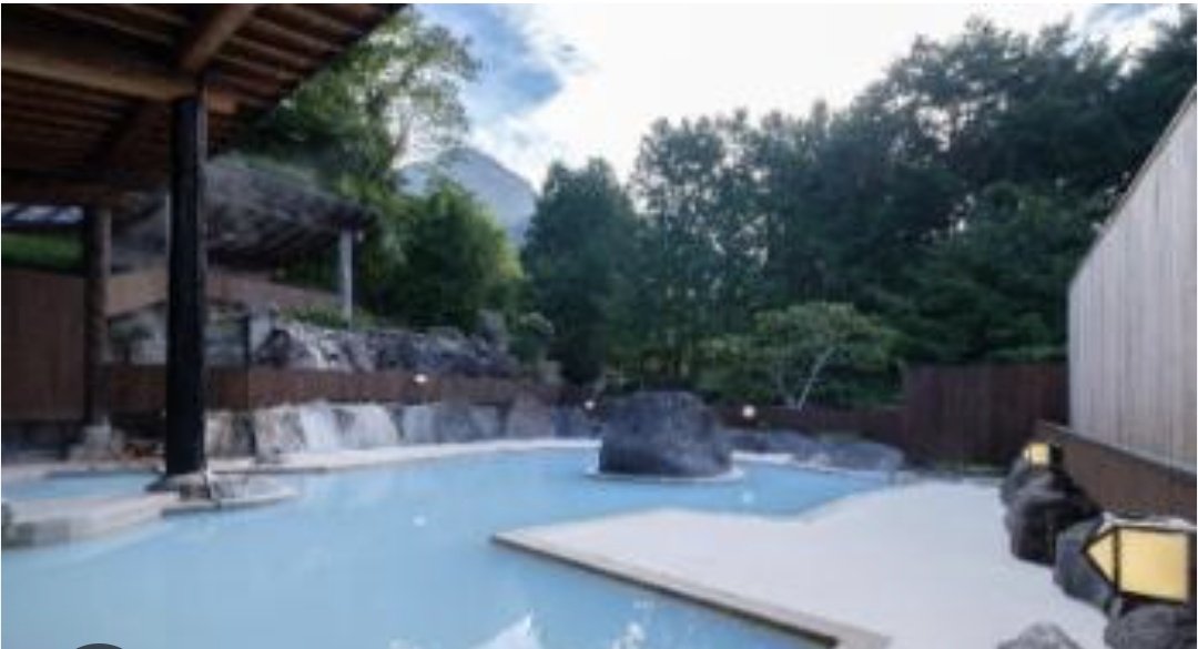 フォレスト🐦 tweet media