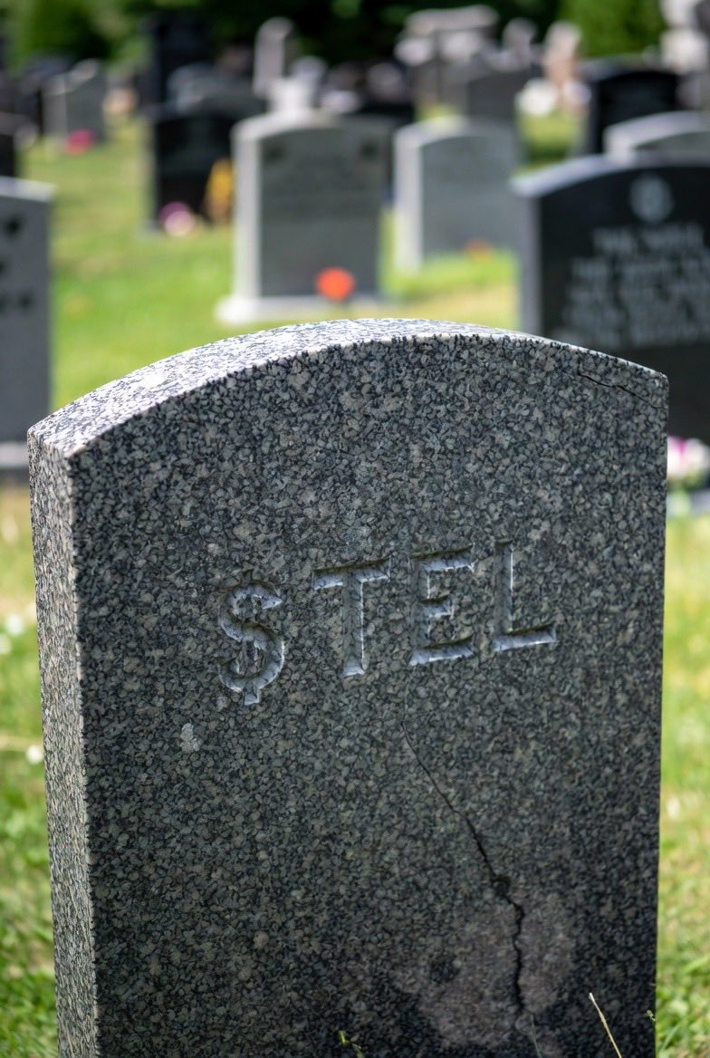 $TELMINATOR tweet media