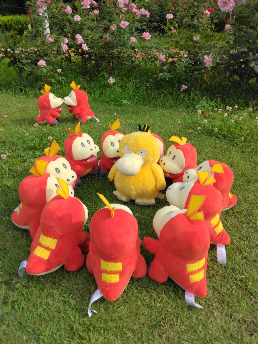 イグピヨ tweet media