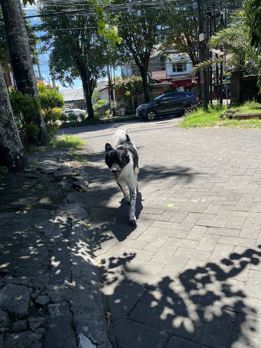 aquabiatch tweet media