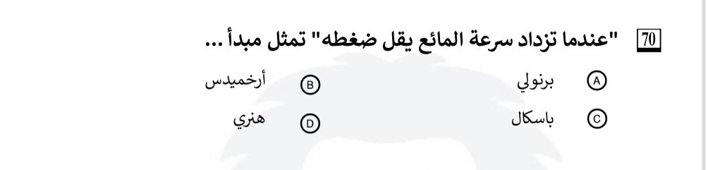 🐈‍⬛🌼 tweet media