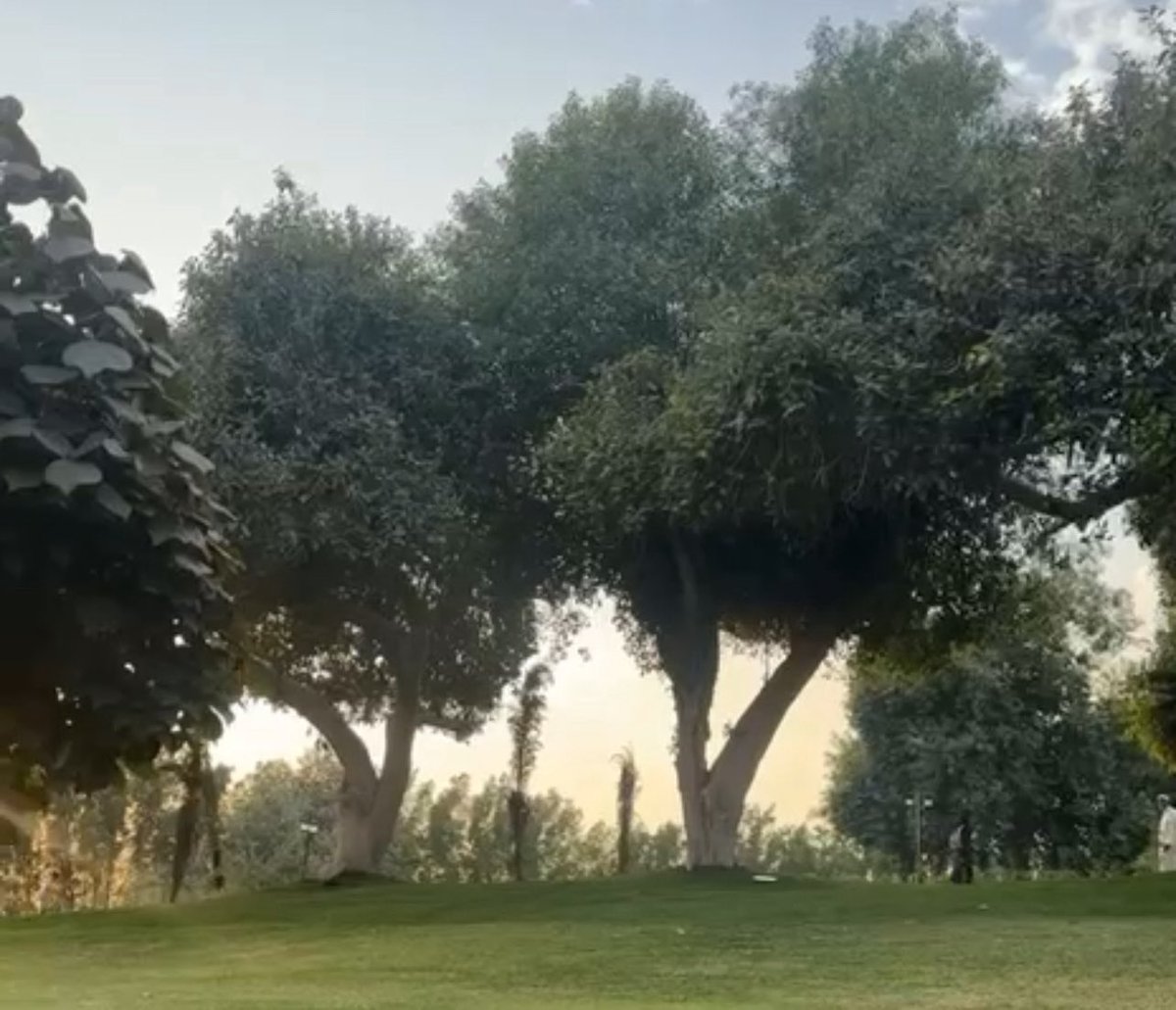 عطــــــرالـروح tweet media