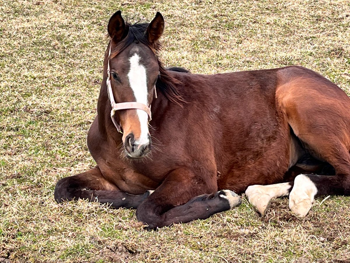 🐎K.KIMURA🐎URAKAWA tweet media