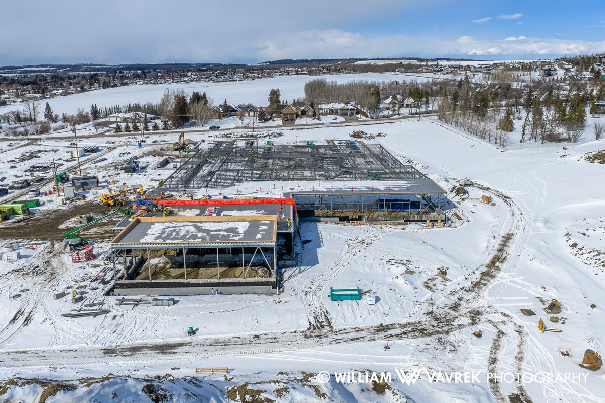 William Vavrek tweet media