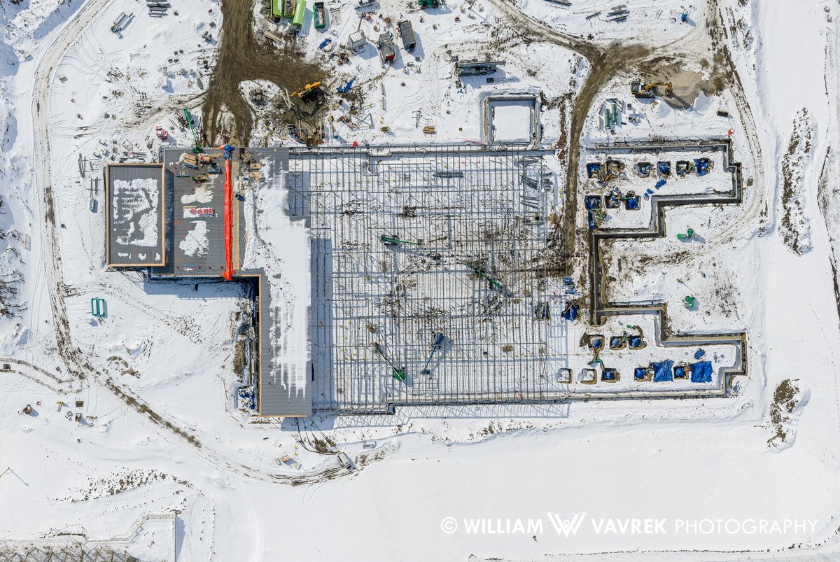 William Vavrek tweet media