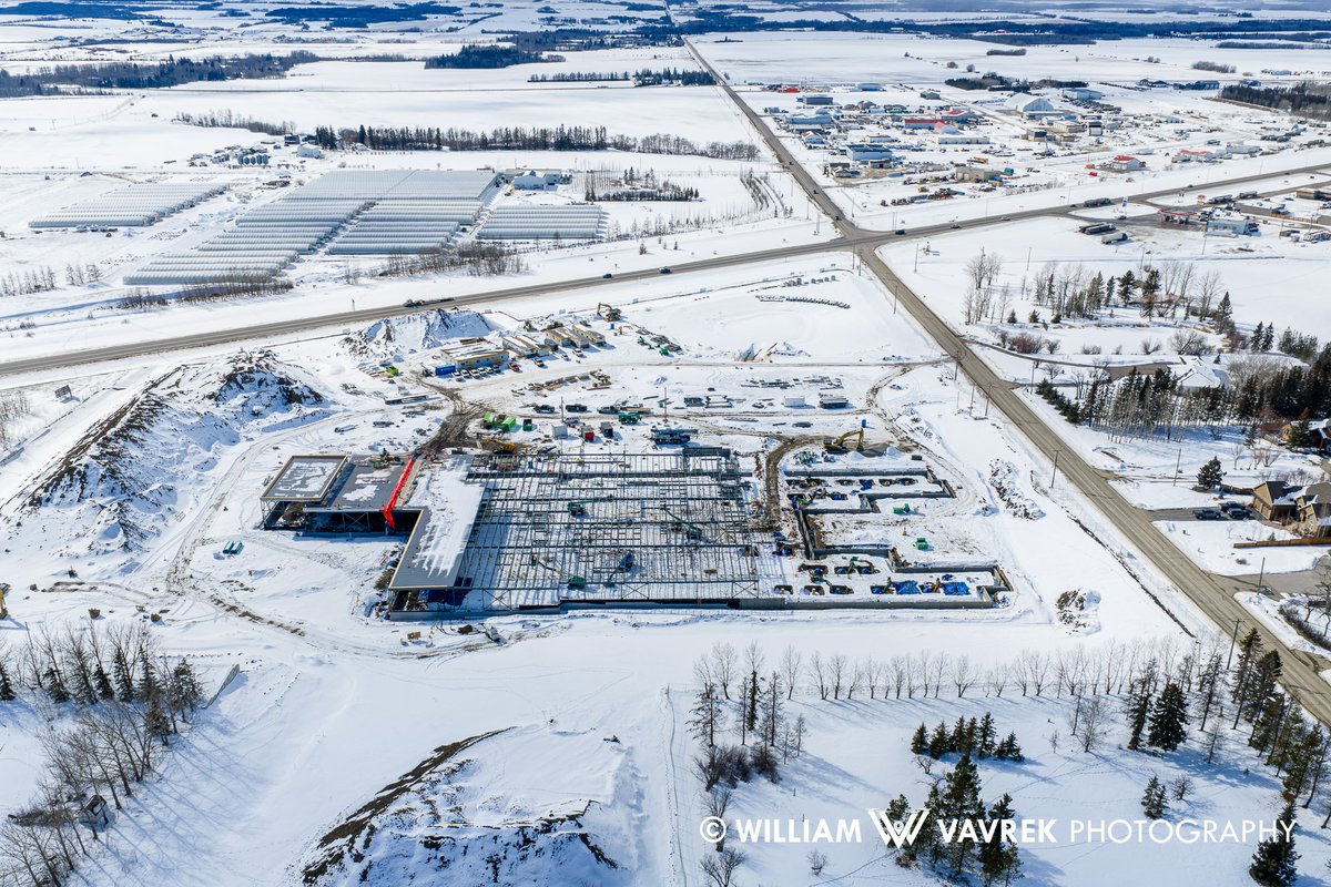 William Vavrek tweet media