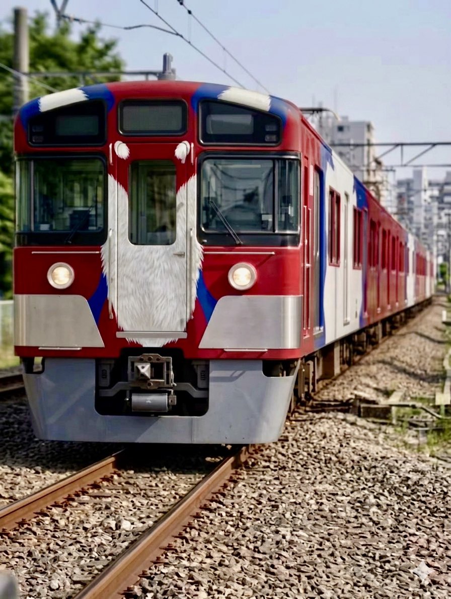 コン太 tweet media