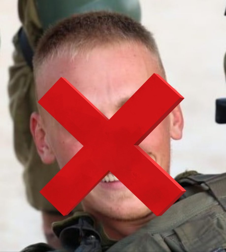 ✦✦✦ 𝙿𝚊𝚖𝚙𝚑𝚕𝚎𝚝𝚜 ✦✦✦ tweet media