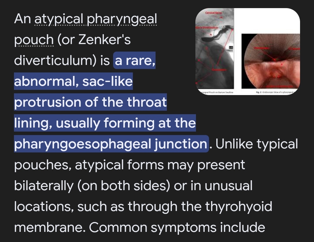 🌸 🙀 Teresa Cooper tweet media